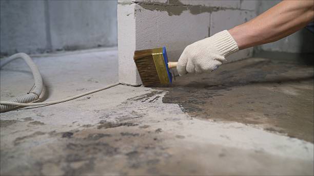 SJ Waterproofing Pros Emergency Waterproofing coverage map for Leonidas, MI and surrounding area